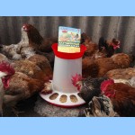 Кликните для увеличения изображения
