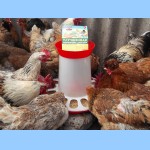 Кликните для увеличения изображения
