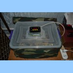 Кликните для увеличения изображения